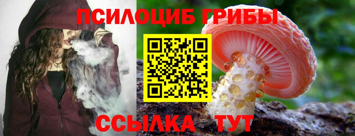 Галлюциногенные грибы GOLDEN TEACHER  купить наркотики сайты  Миллерово  Вход с VPN  Псилоцибиновые грибы Psilocybine cubensis 